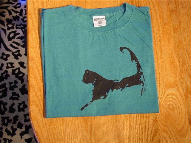 Cape Cat Map T-Shirt (Cape Cod Teal Blue)